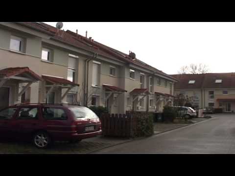 360 Grad Mainz: Ebersheim - Das Dorf der Zukunft?