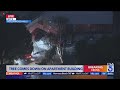 Tree topples onto Hollywood Hills apartment building
