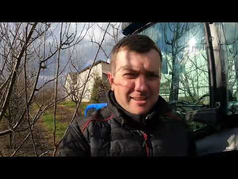 Cutting Plums: How Not to Do It 😅