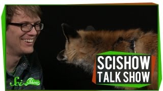 Human-Powered Helicopters and a Red Fox: SciShow Talk Show #8