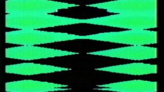 Dane Sturgeon / Queen Bee