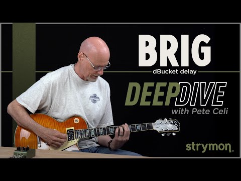Strymon Brig dBucket Delay 2023 - Present - Green image 3