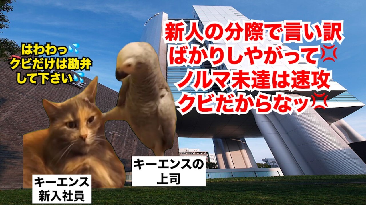 【キーエンス】「明るい北朝鮮」と揶揄される学歴不問で日本一給料が高い企業の実態 #猫マニ #猫ミーム