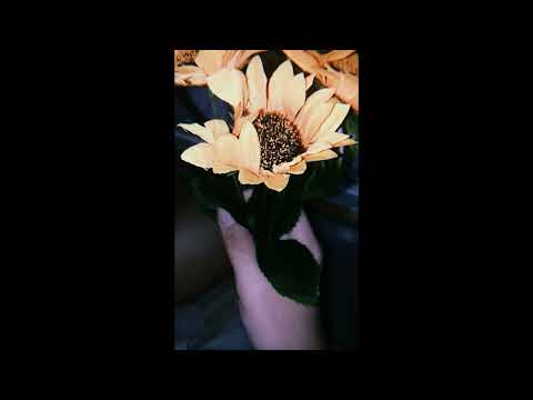 อ่อนไหว - SNOOPO x 2T FLOW x BEEMQ (Cover by PORAME x Jab Thanakit x Sen)