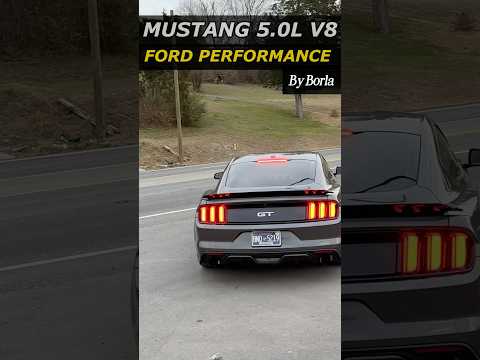2017 Ford Mustang GT 5.0L V8 Exhaust Sound w/ Ford Performance Cat-Back by Borla!