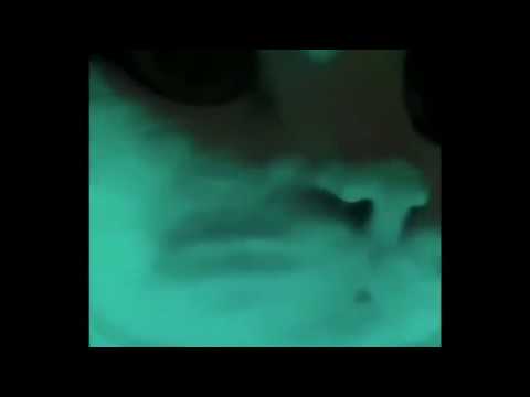 mysterious xasthur cat