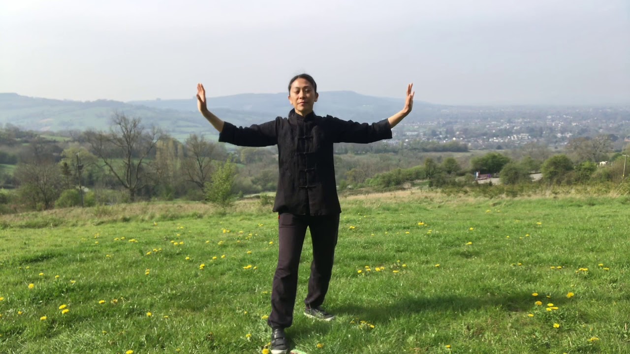 18 Tai Chi Qigong Shibashi Set 1 with Karen