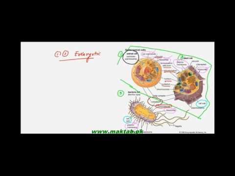 FSc Biology Book1, CH 4, LEC 2: Cell And its Types