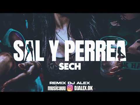 SAL Y PERREA (REMIX) SECH, DJ ALEX