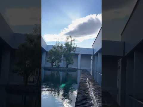 礼拝堂前の噴水 #尚絅学院大学