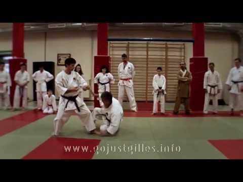 5th International Goju-Ryu Seminar 2013