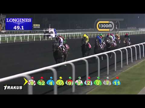 ANIMAL KINGDOM - 2013 Dubai World Cup (G1, 2000m)