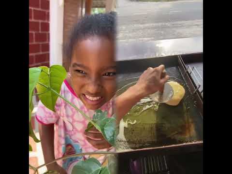 Las travesuras de Dulce María 🤣 #viralvideos #Drama #comedia