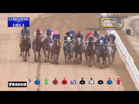 Dubai World Cup 2017: Race 2 - Dubai Kahayla Classic empowered by IPIC