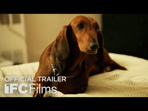 Wiener-Dog (2016) Trailer