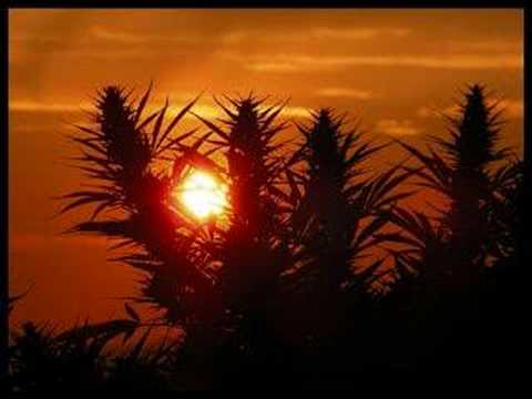 Linval Thompson - I Love Marijuana