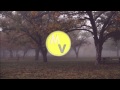 Capital Lights - Mile Away (Sound Remedy Remix ...