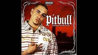 Pitbull - Welcome To Miami