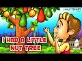 I Had a Little Nut Tree | Nursery Rhymes Songs With Lyrics | Kids Songs