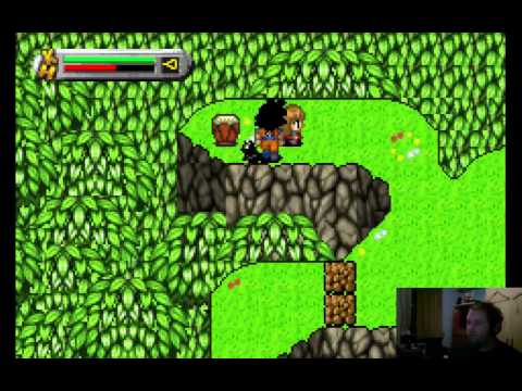 dragon ball z l heritage de goku 2 gba rom