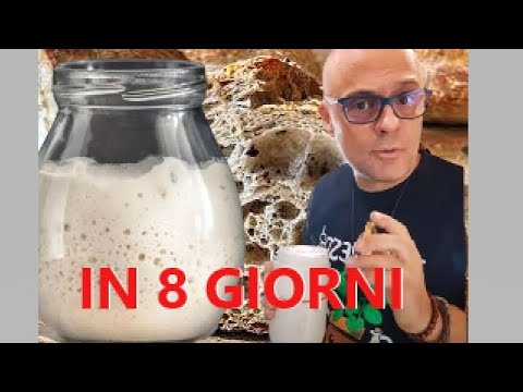 PASTA MADRE FACILE in 8 GIORNI LIEVITO MADRE FACILE