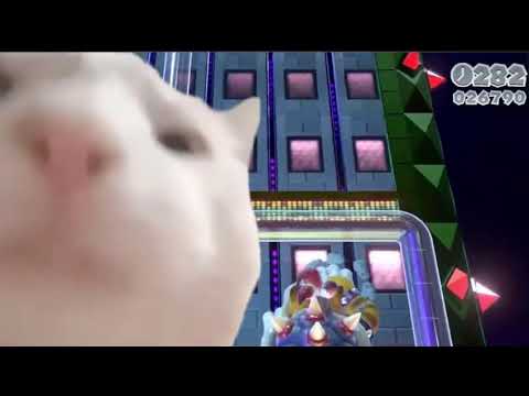 Cat Vibing to The Great Tower Showdown 2