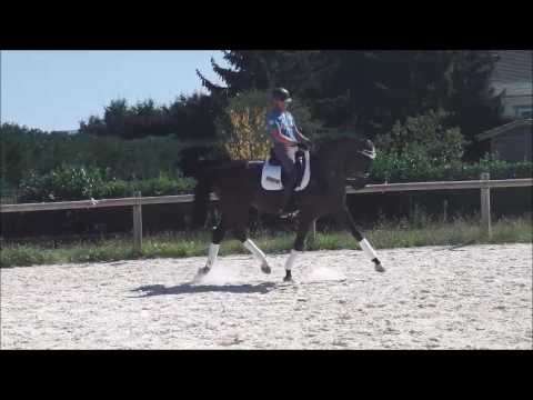 So in Love de Hus (For Sale)