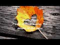 Yours Forever - Darlene Zschech feat. Kari Jobe ...