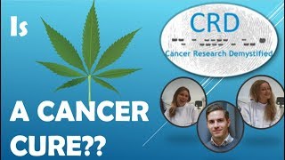 Spam Filter - Does Cannabis cure cancer?