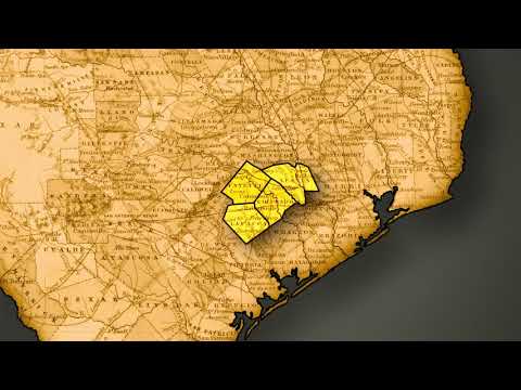 The First Texas Germans