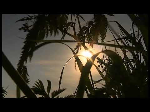 Heer U bent mijn leven | Peter Burger en Liesbeth Domen