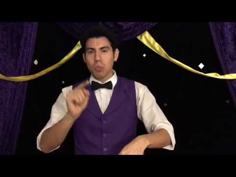 Promotional video thumbnail 3 for Magic Shows and More by Arty Loon Live!
