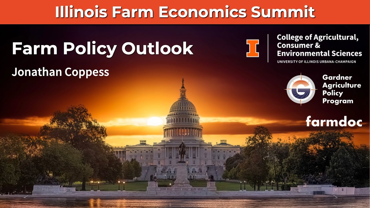IFES: Farm Policy Outlook