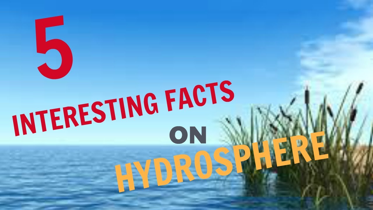 What is the hydrosphere and why is it important? Tipseri