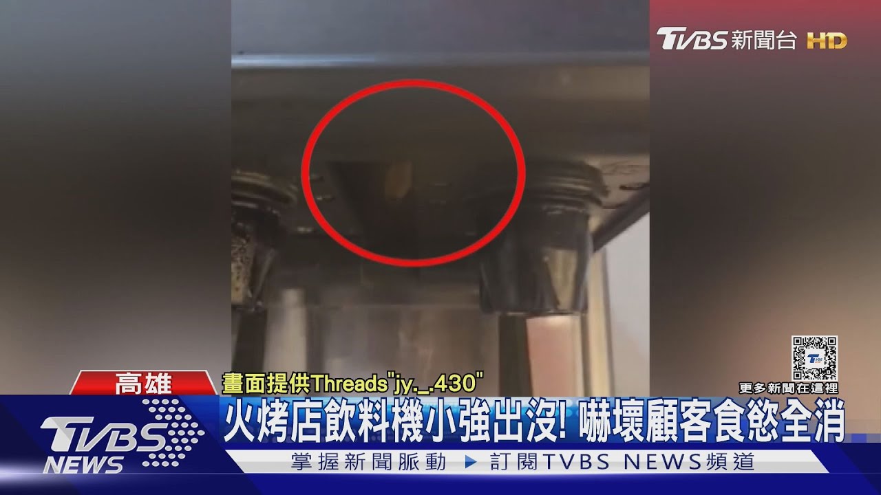 火烤店小強現身！顧客取飲料嚇到縮手　衛生局：至少罰3萬