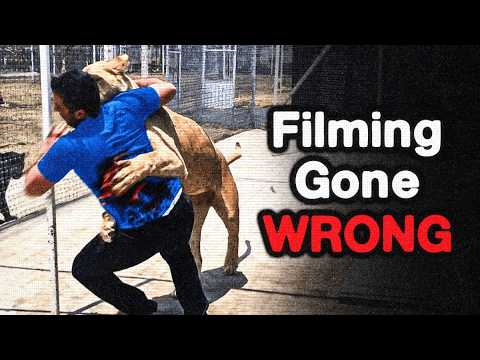 the Most Disturbing Movie Accidents [Vol.3] Iceberg