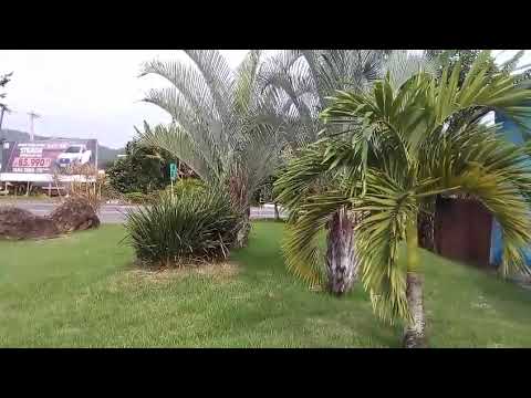 Trânsito na BR 101 em Buerarema Ba 