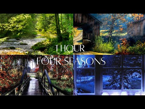 Calming Nature Sounds | Four Seasons | Meditation, Study or Sleep | Relax with Nature