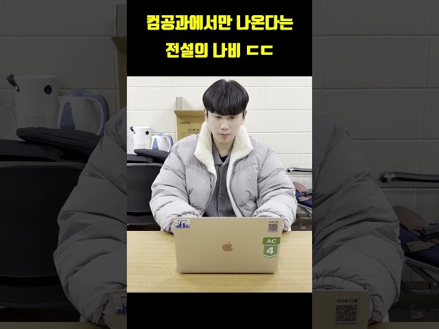 [NUS]컴공과에서만 나온다는 전설의 나비(울산과학대학교 컴퓨터공학과)