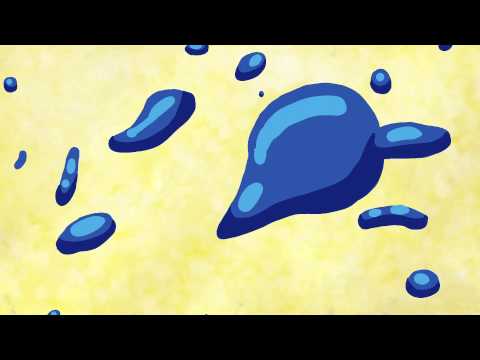 Maryland Film Festival Trailer 2015