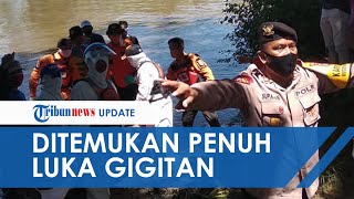 Detik-detik Evakuasi Wanita yang Tewas Diterkam Buaya, Banyak Bekas Gigitan dan Luka di Perut