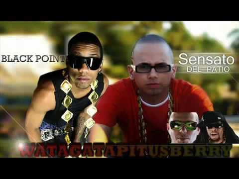 Black Point ft. Lil Jon and Pitbull - Watagatapitusberry Remix Official Video HD