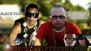 Black Point ft. Lil Jon and Pitbull - Watagatapitusberry Remix Official Video HD