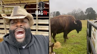 Rick Ross Goes Crazy After Getting 2 New Buffaloes! 🐃