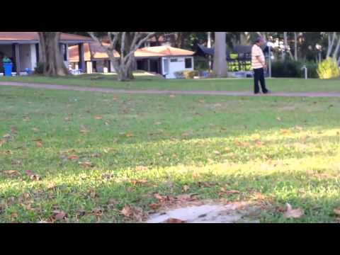 aloha changi seafront chalet B