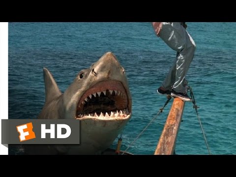 Jaws: The Revenge (7/8) Movie CLIP - The Beast Comes Back (1987) HD
