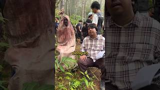 Download lagu The Breadfruit Demon Meets the Pocong | Sekawan Limo July 4th at CGV mp3