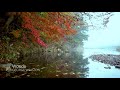 George Winston - Woods - Autumn