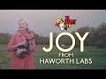 We Happy Few |  Haworth Labs: Introducing Joy