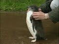 Tots TV Penguin 1993